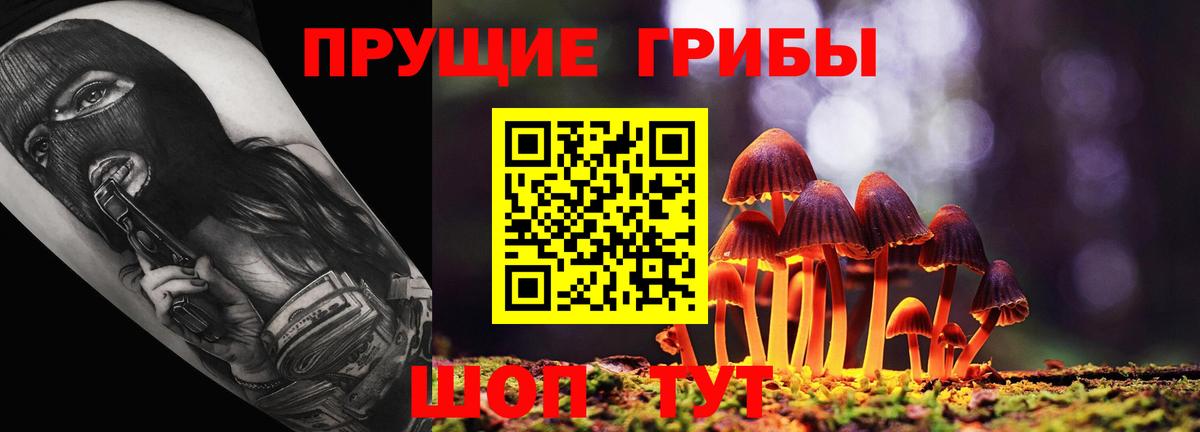 Галлюциногенные грибы мицелий  Вход с VPN  где можно купить наркотик  Зеленогорск 