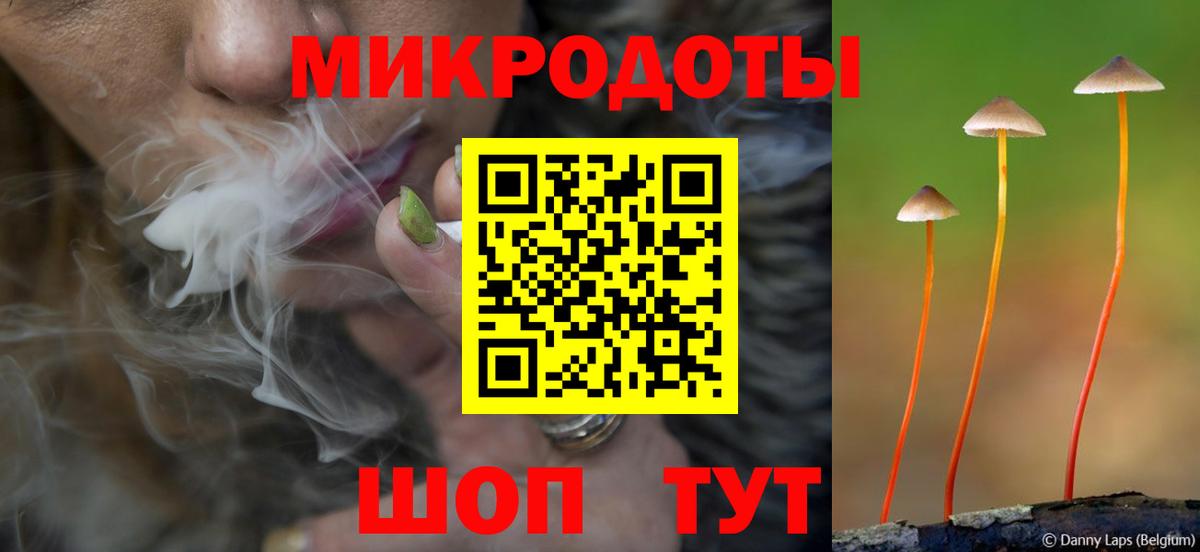 Псилоцибиновые грибы мухоморы Зеленогорск
